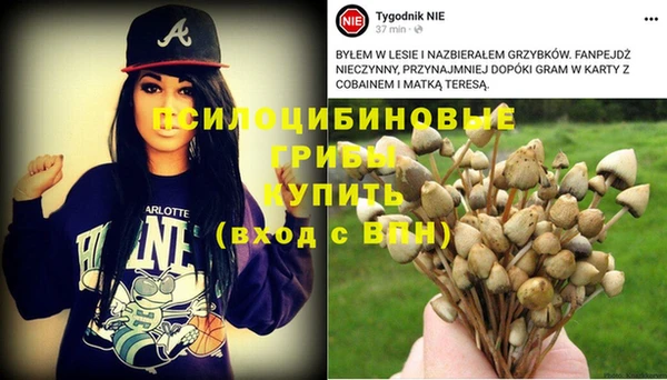 ешки Балабаново