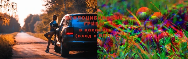 соль курить ск Балахна