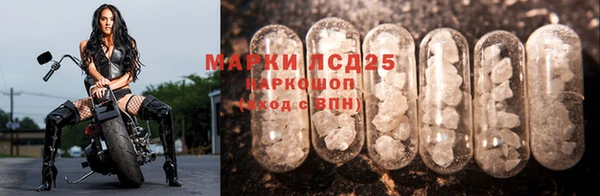 спайс Баксан